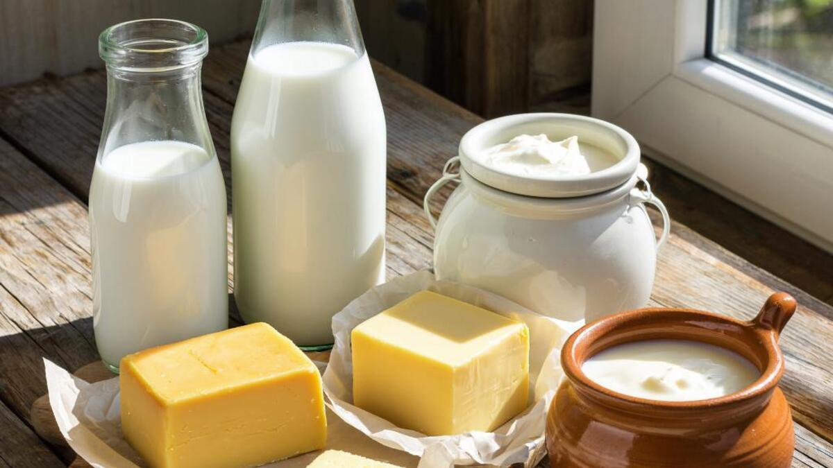 Россияне отвернулись: спрос на молочные продукты падает — хорошо это или плохо?