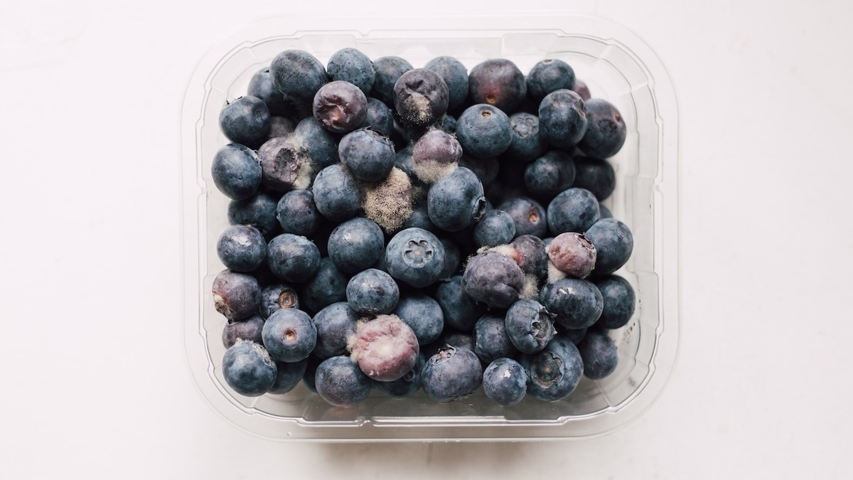 Нашли плесень в чернике или голубике: выбрасывать весь лоток или можно спасти ягоды?