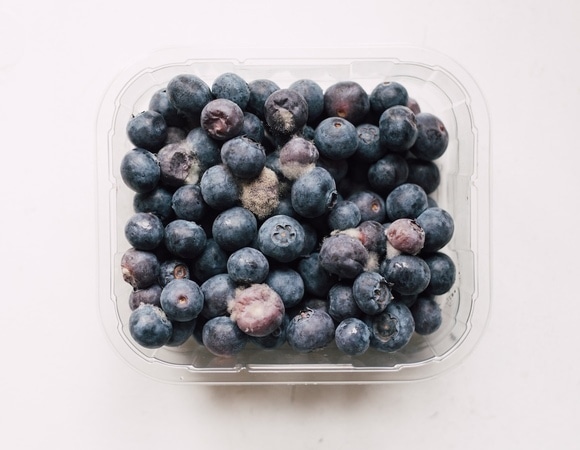 Нашли плесень в чернике или голубике: выбрасывать весь лоток или можно спасти ягоды? Нашли плесень в чернике или голубике: выбрасывать весь лоток или можно спасти ягоды?