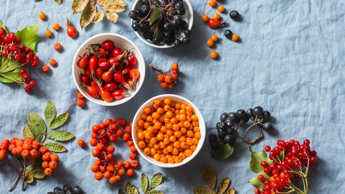 Эти 5 ягод укрепят иммунитет лучше аптечных витаминов