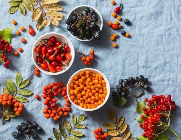 Эти 5 ягод укрепят иммунитет лучше аптечных витаминов Эти 5 ягод укрепят иммунитет лучше аптечных витаминов