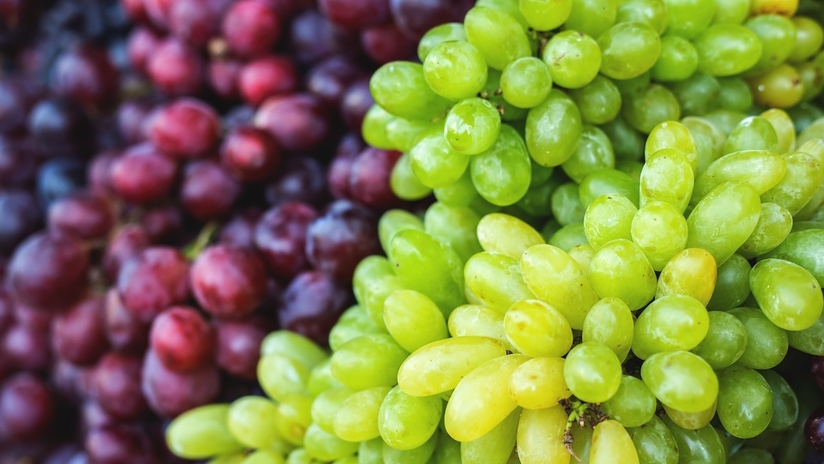 Как выбрать идеальный виноград: советы диетолога помогут больше, чем советы продавца Как выбрать идеальный виноград: советы диетолога помогут больше, чем советы продавца