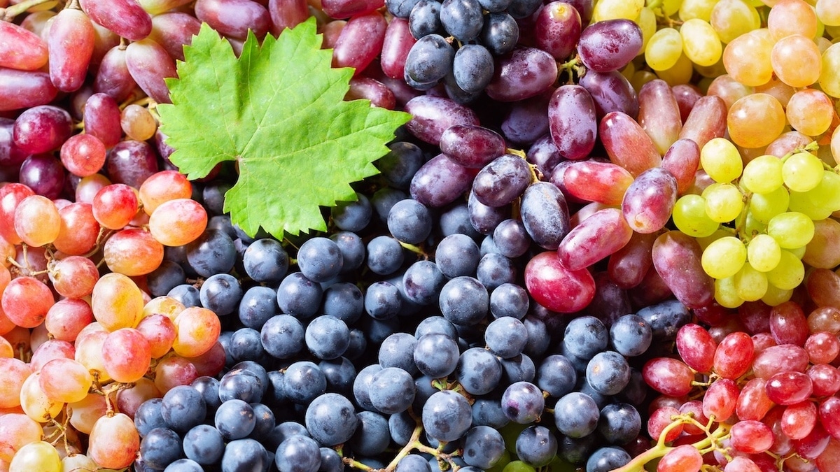 Сколько винограда можно съесть в день — послужит не "щитом" от болезней, а причиной лишнего веса