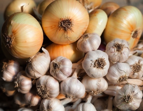 Можно ли хранить лук и чеснок вместе — ответ агронома Можно ли хранить лук и чеснок вместе — ответ агронома