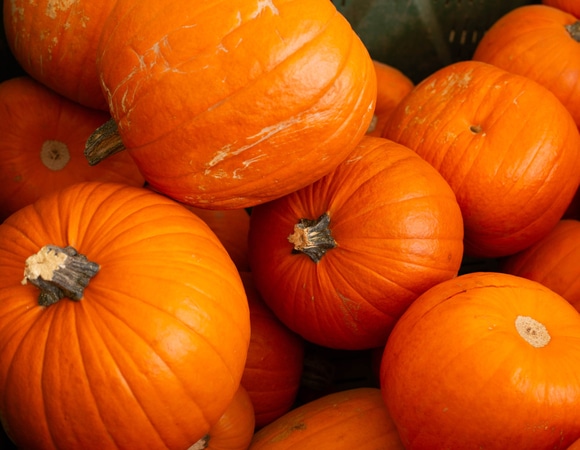 Осталось много тыквы? Вот как можно использовать овощ