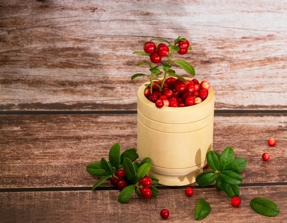 3 октября отмечается День брусники: вспоминаем, чем хороша ягода, и почему о ней упоминал даже Пушкин в "Евгении Онегине"