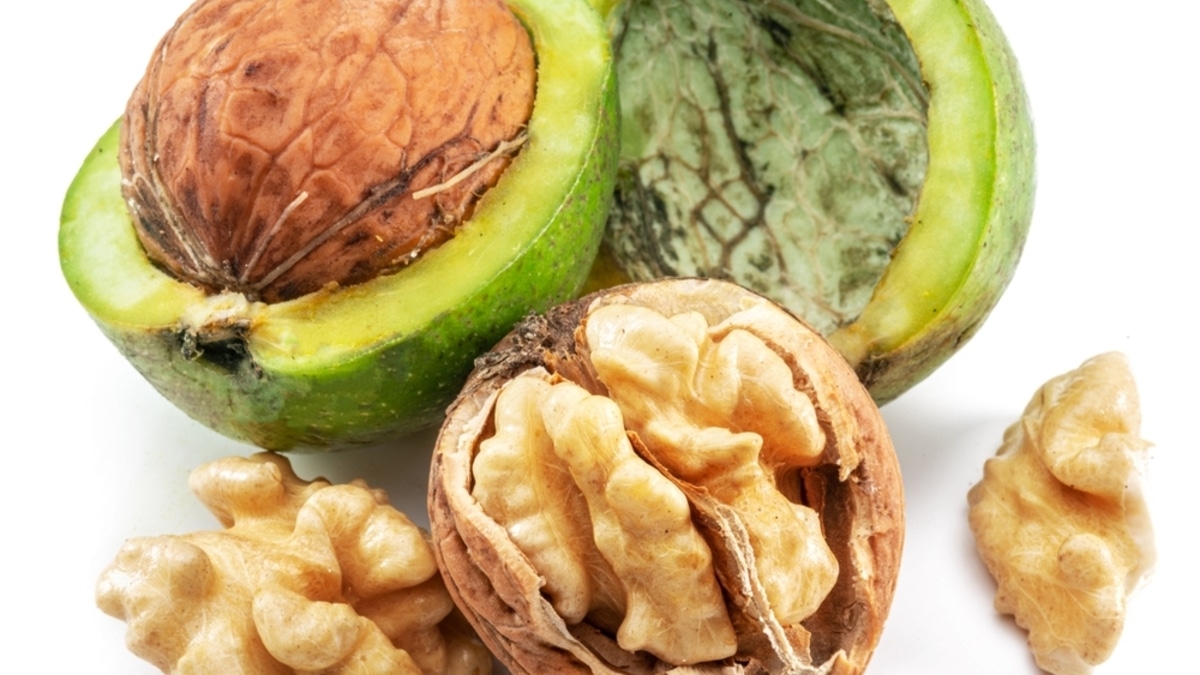 "Забава для вкуса, а не для пользы": нутрициолог назвала 3 причины забыть о молодых грецких орехах