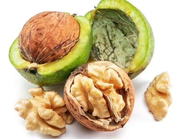 "Забава для вкуса, а не для пользы": нутрициолог назвала 3 причины забыть о молодых грецких орехах