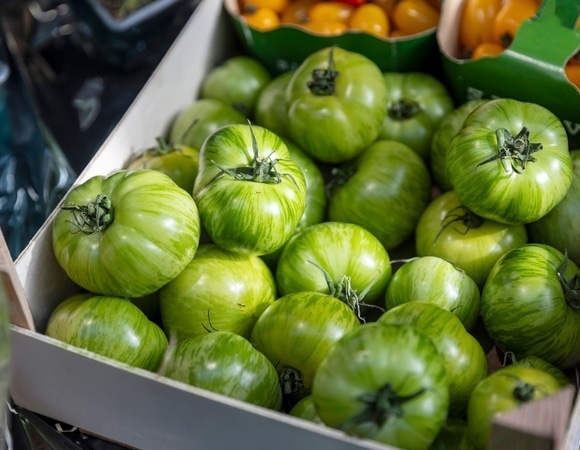 Вчера зеленые, сегодня красные: найден самый простой способ ускорить созревание уже сорванных помидоров 