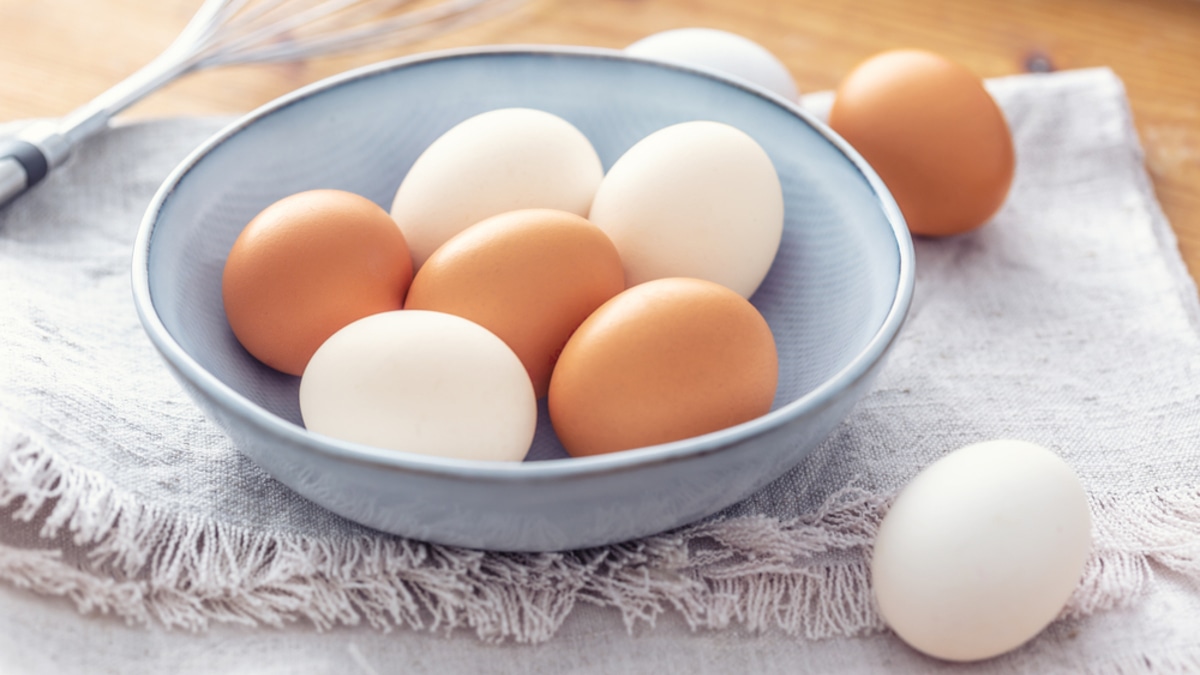 "Тут я засомневался": доктор Мясников объяснил, зависит ли польза яиц от цвета скорлупы