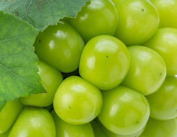 "Золотая" ягода: что за гигантский виноград появляется на полках и стоит ли его брать? "Золотая" ягода: что за гигантский виноград появляется на полках и стоит ли его брать?