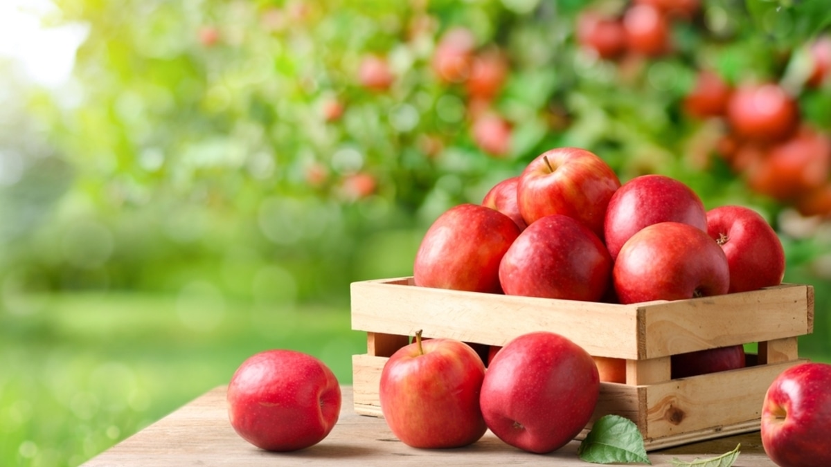 Любимый перекус Оззи Озборна: удивительно, но очень безобидный!