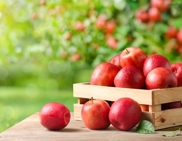 Любимый перекус Оззи Озборна: удивительно, но очень безобидный!