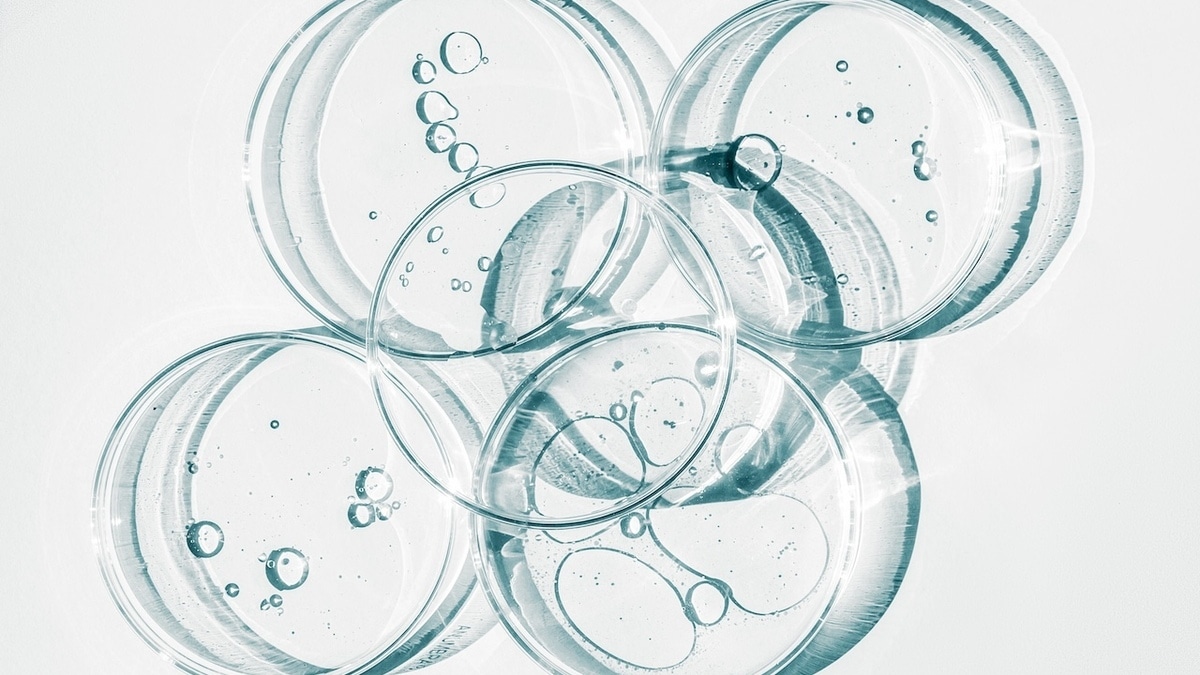 Ученые "добыли" воду из воздуха — и получили Нобелевскую премию