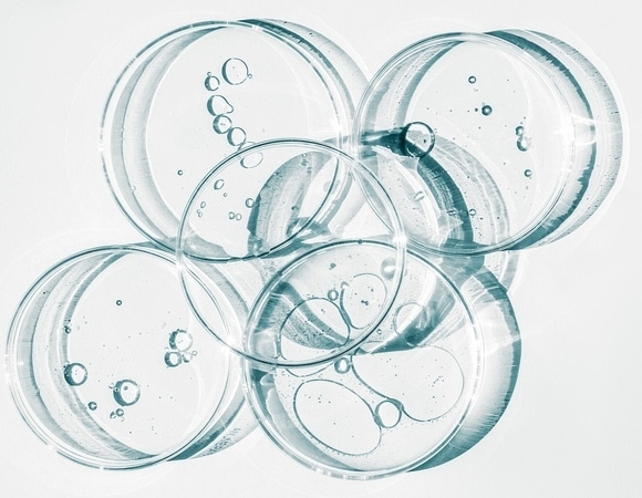 Ученые "добыли" воду из воздуха — и получили Нобелевскую премию Ученые "добыли" воду из воздуха — и получили Нобелевскую премию