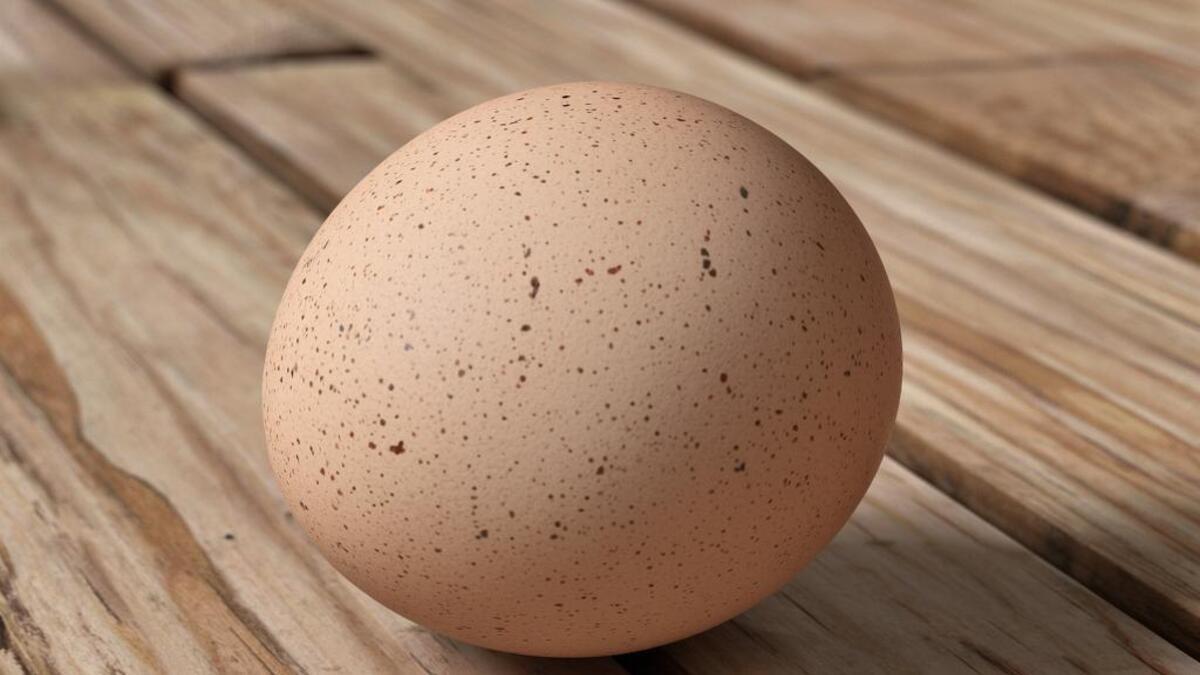 Хичкок их боялся, а мы уважаем! 10 октября отмечается Всемирный день яйца 