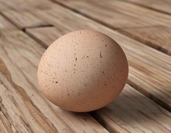 Хичкок их боялся, а мы уважаем! 10 октября отмечается Всемирный день яйца Хичкок их боялся, а мы уважаем! 10 октября отмечается Всемирный день яйца