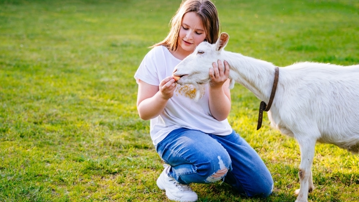 Не экскурсии и не пляжный отдых: 3 причины, почему спрос на агротуризм вырос на 41%