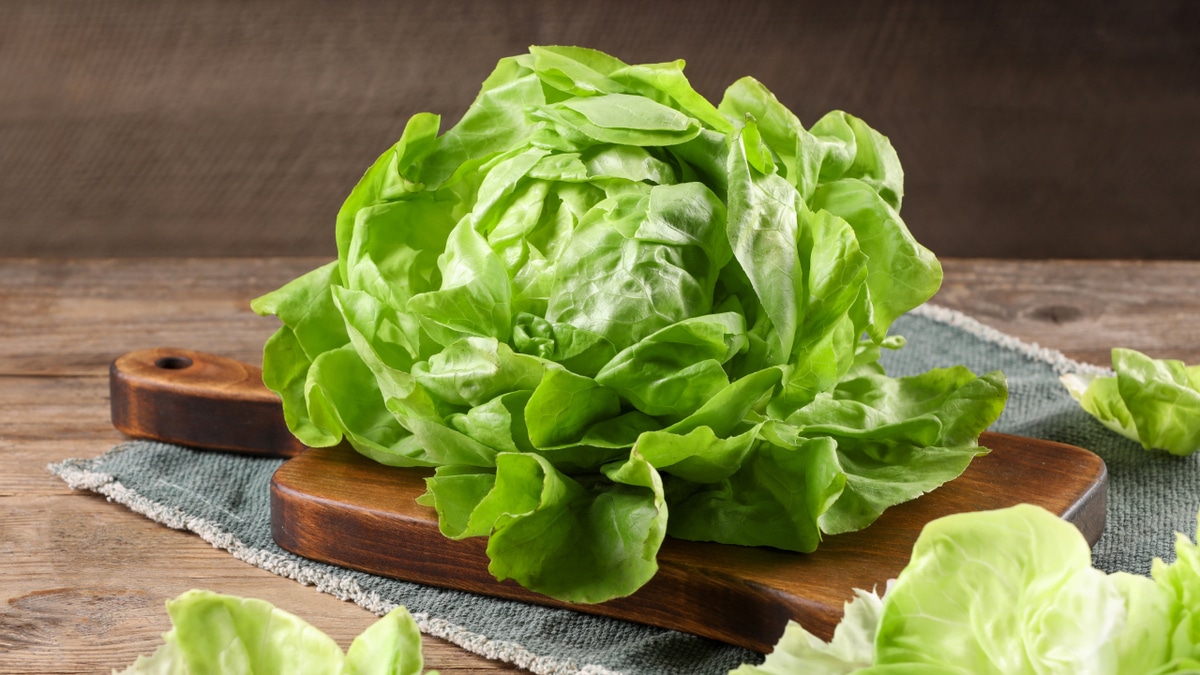 Второе дыхание для остатков салата: польза и практичность безотходной кухни