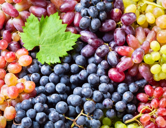 Лучшая приправа к удовольствию: как сориентироваться в сортах винограда и выбрать для себя идеальный Лучшая приправа к удовольствию: как сориентироваться в сортах винограда и выбрать для себя идеальный