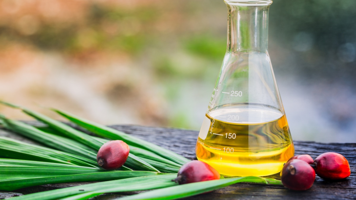 Миф о пальмовом масле: медик рассказала, почему сливочное и подсолнечное не лучше