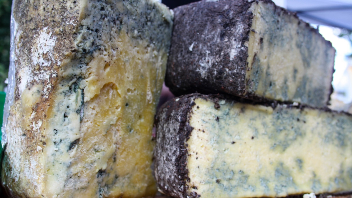 Можно ли спасти сыр с плесенью? Практические советы и мифы