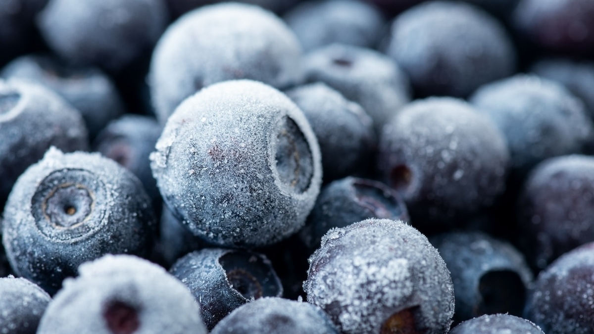 Стало известно, почему замороженная черника полезнее свежей