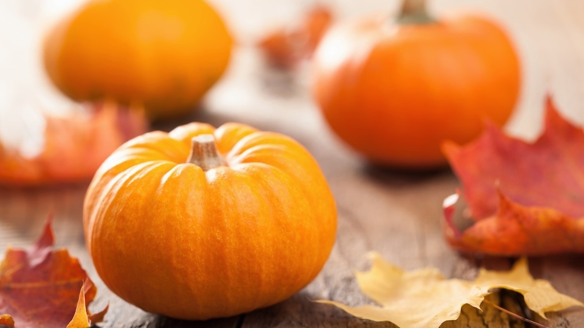 Теперь без нее никуда: у тыквы нашли новое полезное свойство — для сердца 