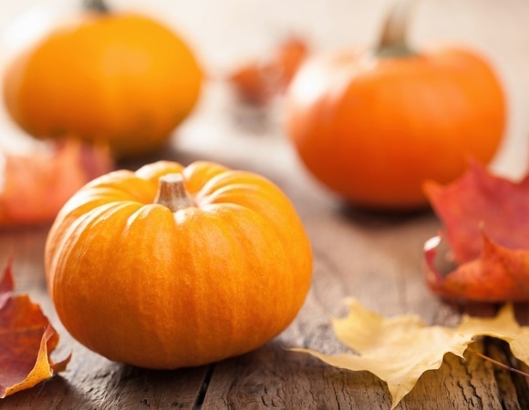 Теперь без нее никуда: у тыквы нашли новое полезное свойство — для сердца Теперь без нее никуда: у тыквы нашли новое полезное свойство — для сердца