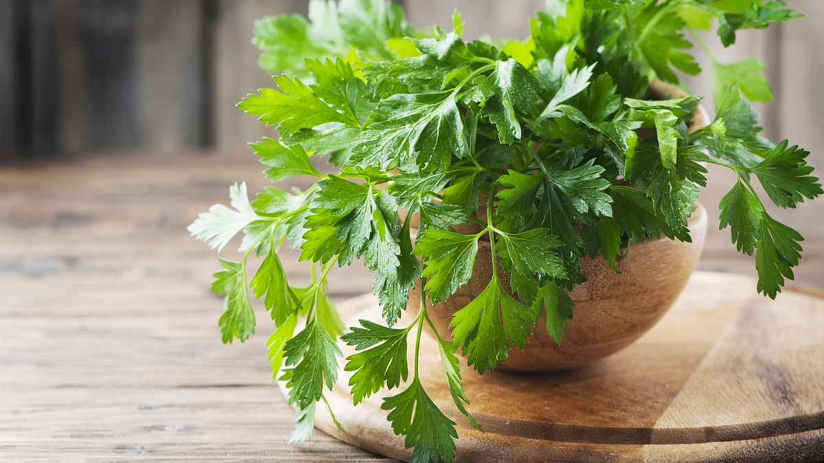 Не только для украшения: эта зелень помогает от вздутия и отеков