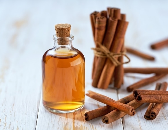 Ученые открыли необычное свойство эфирного масла корицы: заменит синтетические консерванты Ученые открыли необычное свойство эфирного масла корицы: заменит синтетические консерванты