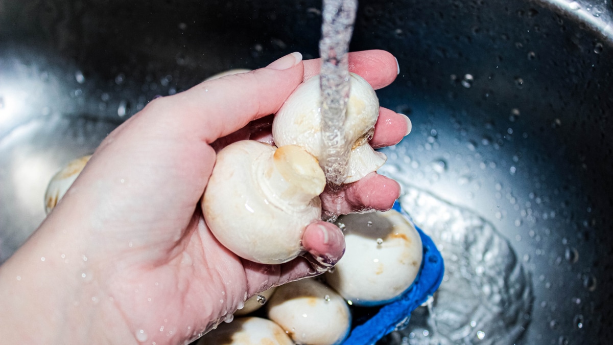Мыть или не мыть: как правильно подготовить грибы без вреда для вкуса