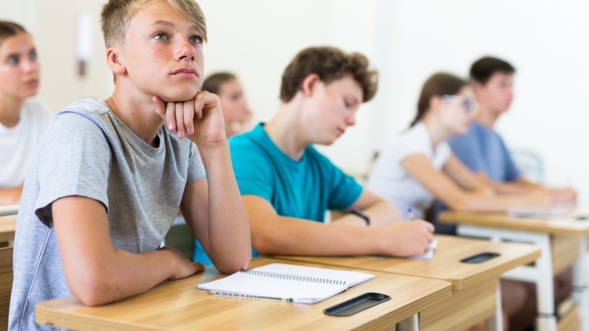 Скатился по учебе и устраивает истерики: какие дефициты нужно проверить в организме подростка, если он стал невыносим