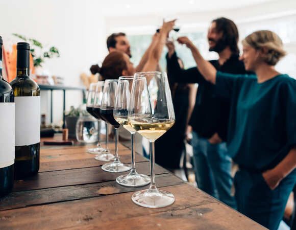 Как сойти за своего в винной тусовке: что такое мышиный тон, летучка и фанковое вино — говорим на языке современных виноделов