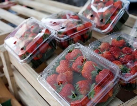 Не трясите контейнеры с ягодами: так вы не найдете самые свежие