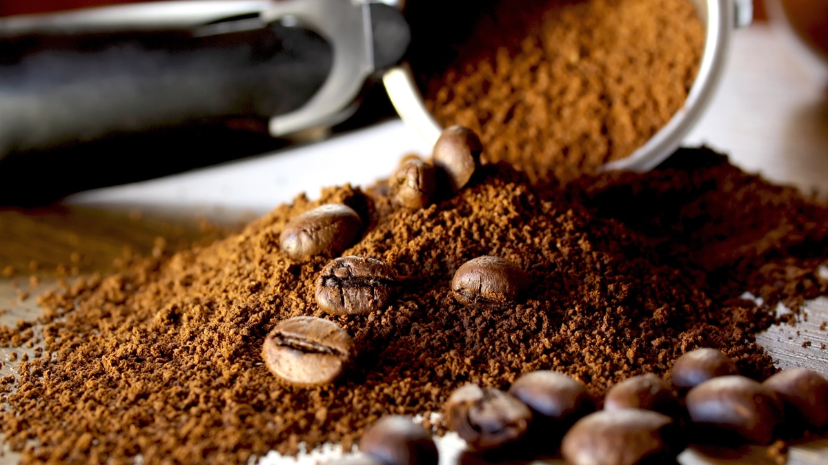 Почему нельзя выбрасывать кофейную гущу в измельчитель и как ее использовать с пользой