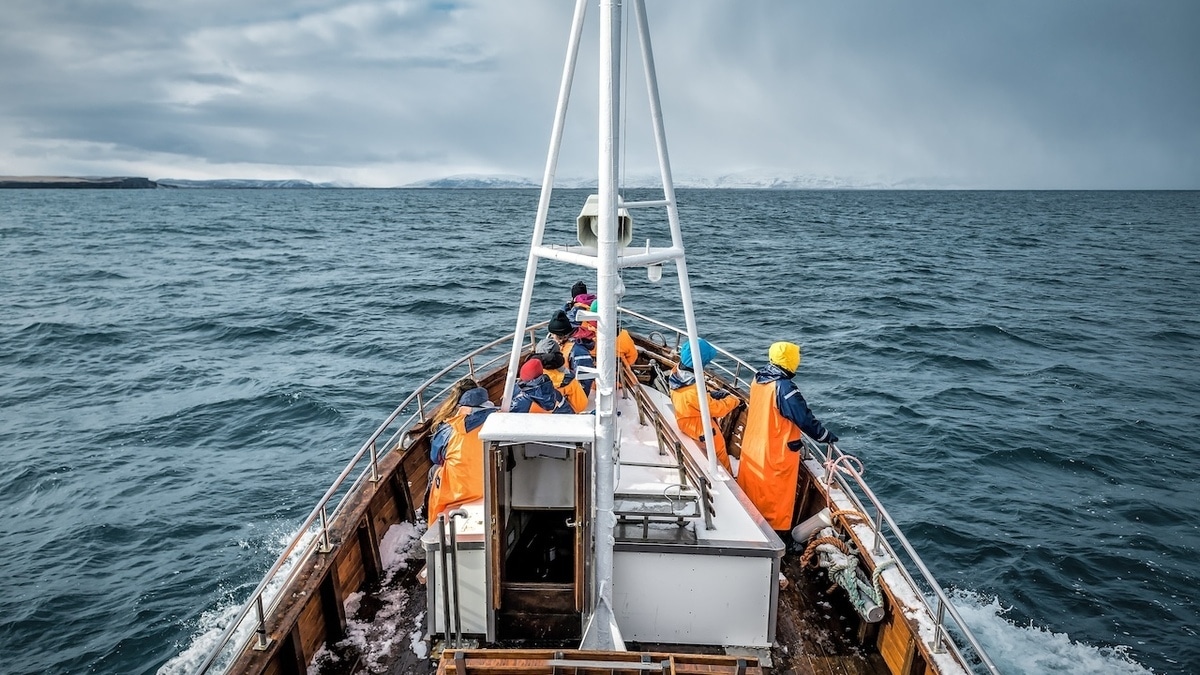 Выделены регионы России, где водится лучшая морская рыба — как по качеству, так и по пользе