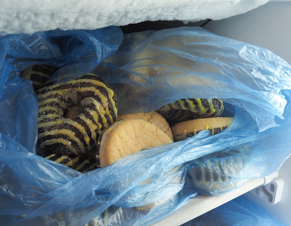 Что будет, если заморозить пончики? 