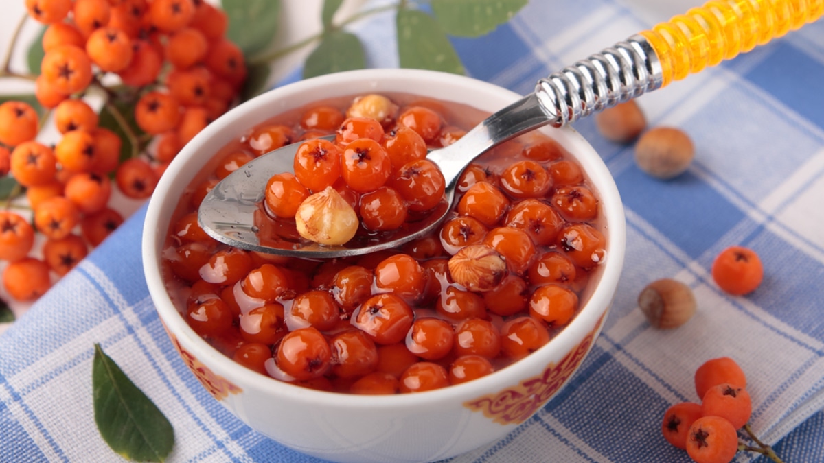 Не панацея: 3 категории людей, которым рябина навредит, а не поможет