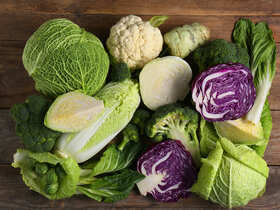 Белокочанная, цветная, савойская и калибос — рецепты необычных блюд из капусты от шеф-поваров