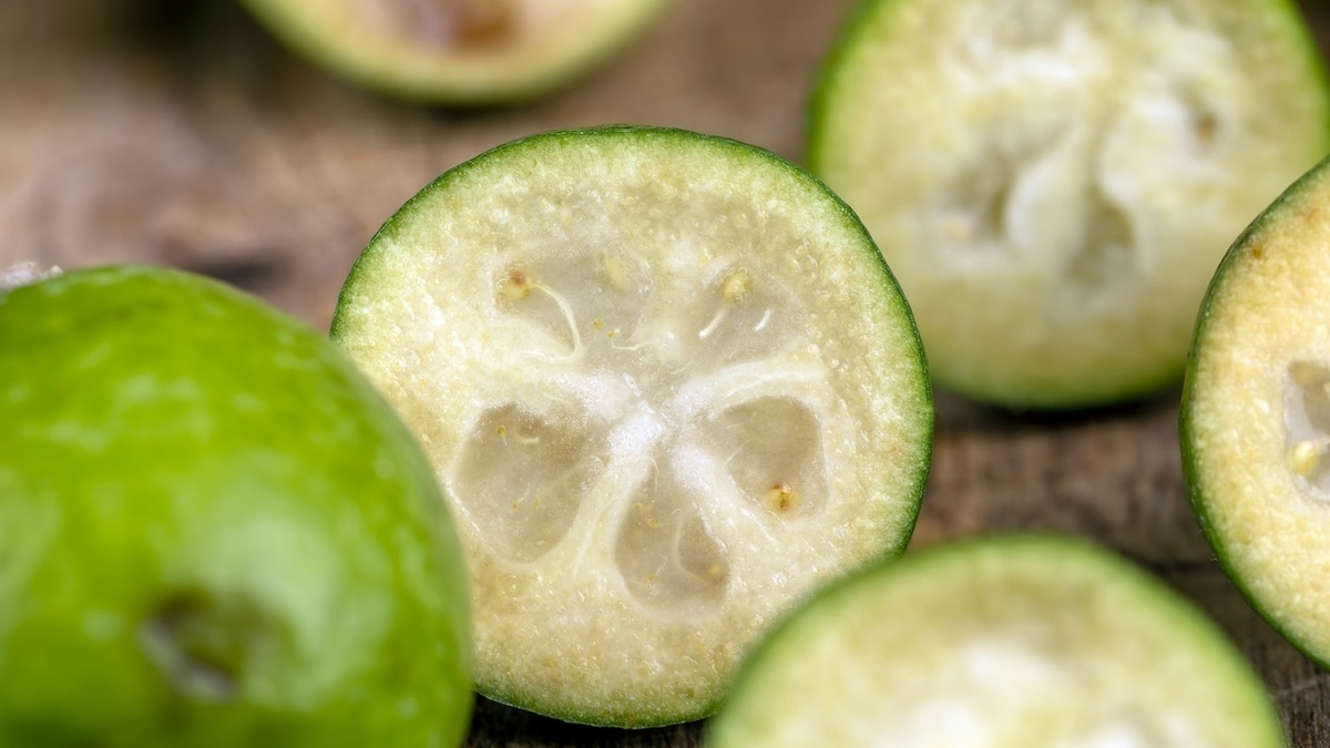 До 200% на порцию: найдена ягода, в которой йода не меньше, чем в морепродуктах 