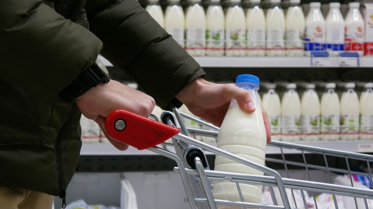 Почему молоко быстро портится — одну ошибку совершают еще в магазине