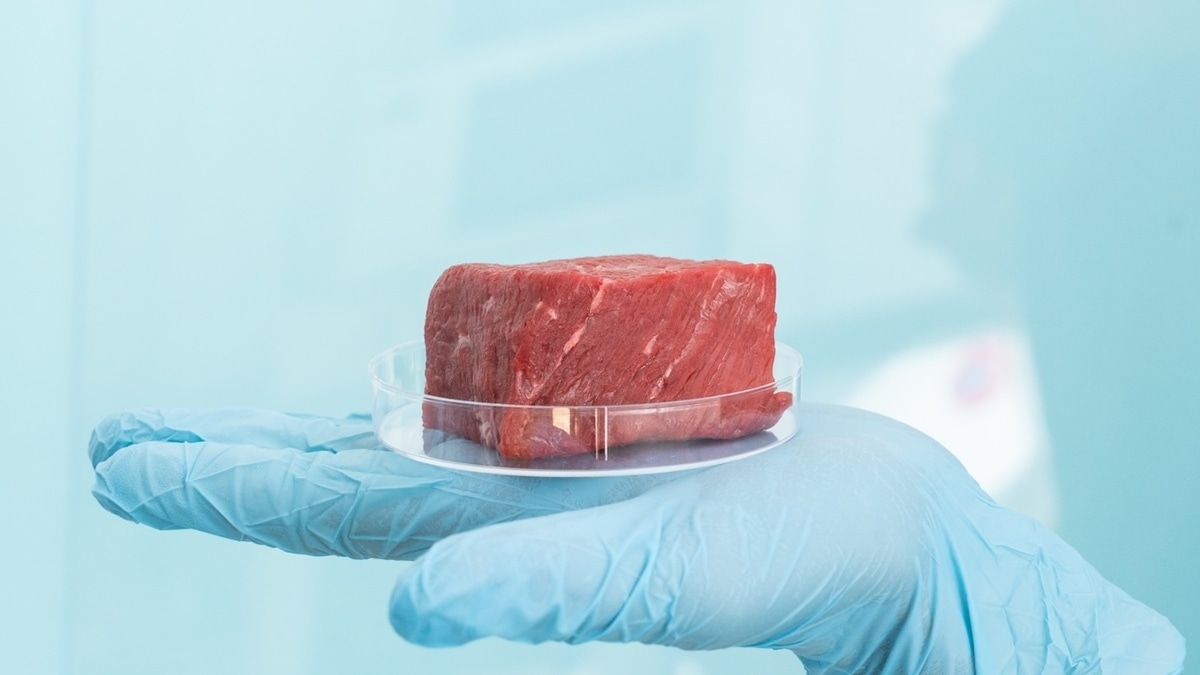 Что будет, если незаметно употреблять в пищу мясо и молоко с антибиотиками — объяснила эксперт