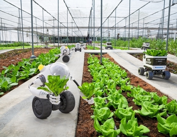 Через 10 лет фермерством будут заниматься роботы: как ИИ внедряют в агросегмент