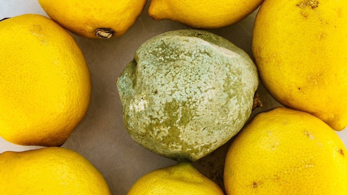 Можно ли есть фрукты, которые лежали рядом с заплесневелым? Ответили эксперты