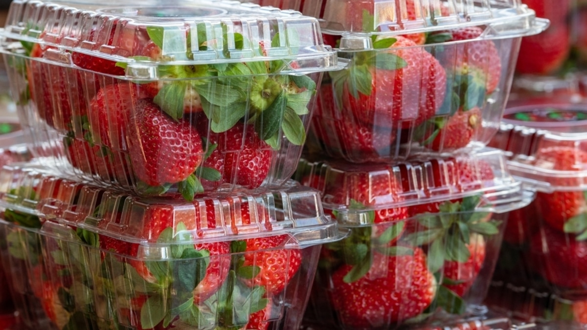 "Поедание мокрого пенопласта": 7 продуктов, которых следует избегать в несезон "Поедание мокрого пенопласта": 7 продуктов, которых следует избегать в несезон