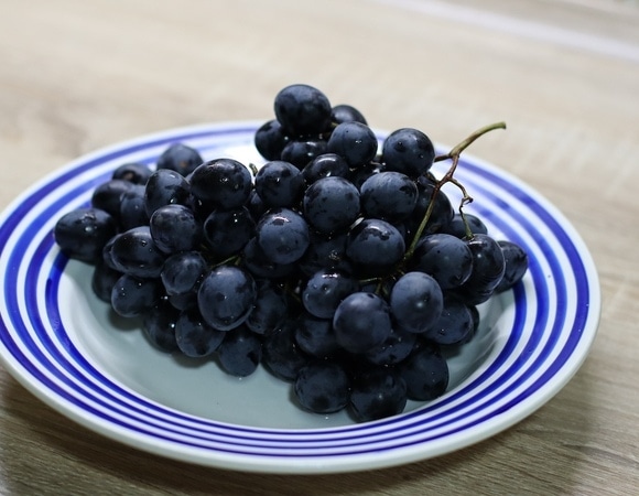 Все по расписанию: диетолог объяснила, какие фрукты нужно есть утром, а какие — вечером