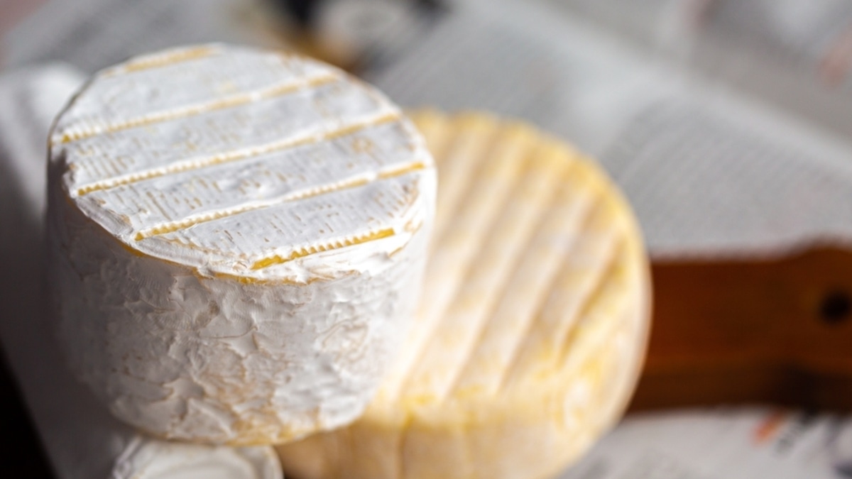 Гастрономический раритет: почему за самый дорогой сыр в мире любители готовы отдавать более 1200 долларов за килограмм