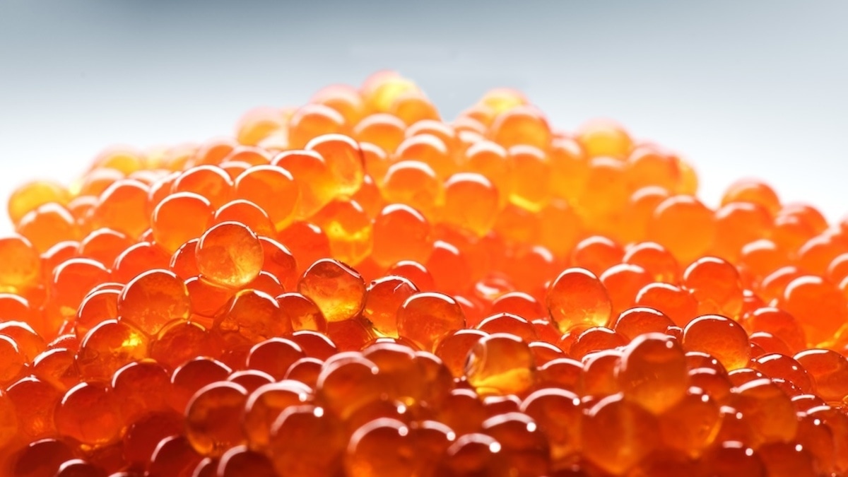 Как понять, что икра испортилась? Эксперт посоветовала выбрасывать, если обнаружилось хотя бы одно совпадение 