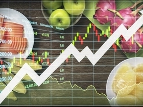 Зимняя заморозка цен: депутаты предложили ввести мораторий на повышение стоимости продуктов до Нового года Зимняя заморозка цен: депутаты предложили ввести мораторий на повышение стоимости продуктов до Нового года